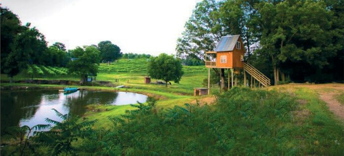 Treehouse Vineyards in Monroe