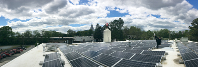 Birdsong solar panels
